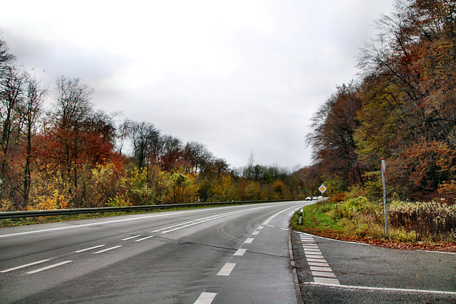 Zur Hünenpforte (Hagen-Holthausen) / 13.11.2021