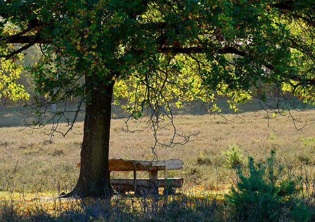 HBM aus der Kuppendorfer Heide