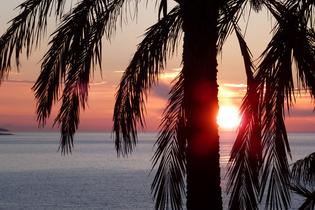 mare d'Oriente a Bordighera