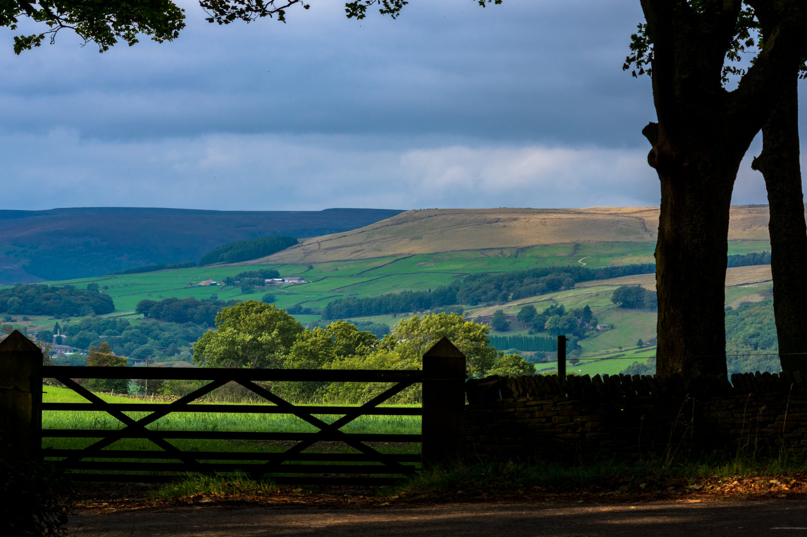 a view over the gate