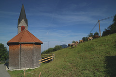 Georunde Rindberg, Sibratsgfäll, Vorarlberg