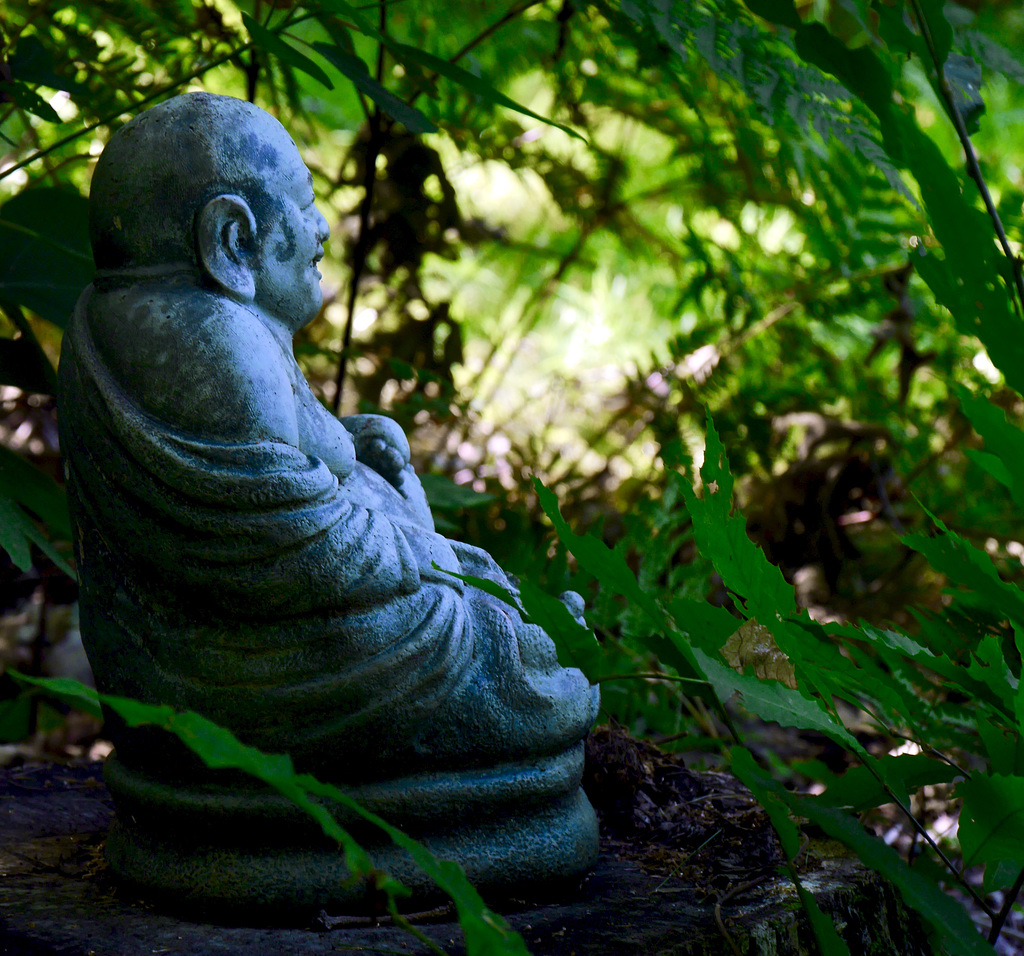 Buddha Nature