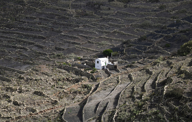 A Postcard from Lanzarote