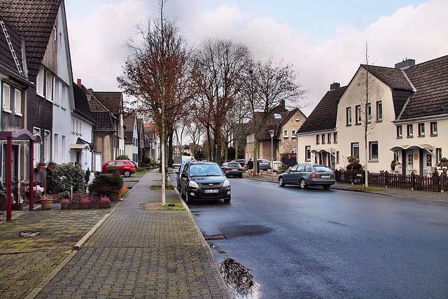 Lortzingstraße (Gladbeck-Zweckel) / 24.12.2022