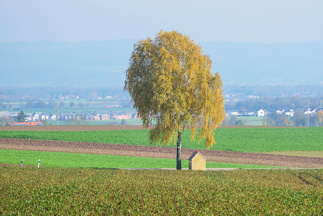 Thalmassing, Feldkapelle