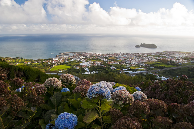 São Miguel Island / Azores