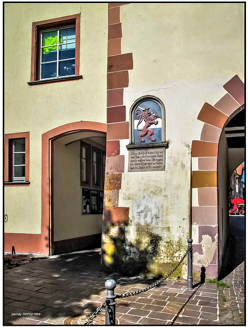 Waldshut