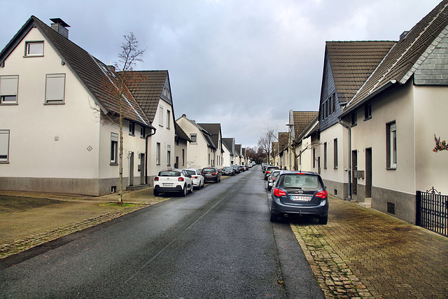 Eggebrechtstraße (Gladbeck) / 24.12.2022