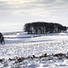 English winter landscape