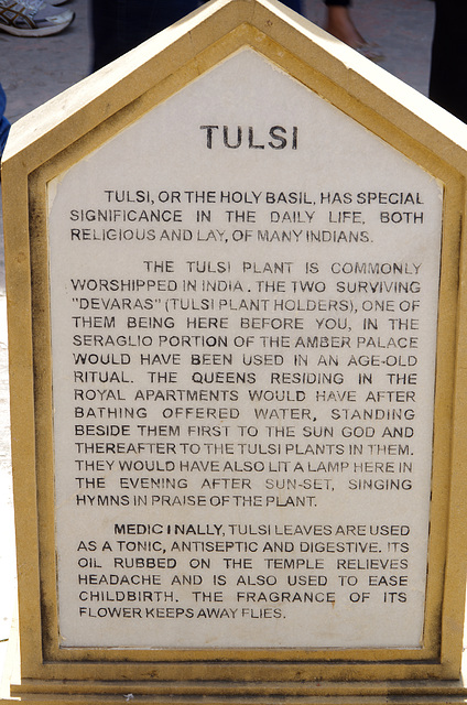 Tulsi