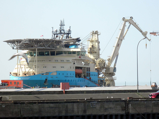 MAERSK INVOLVER