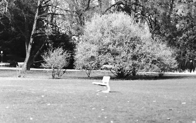 Regensburg, Stadtpark, Film