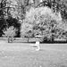 Regensburg, Stadtpark, Film