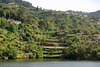 Train ride along the Douro valley