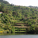 Train ride along the Douro valley