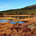 Vikerfjell - Autumn