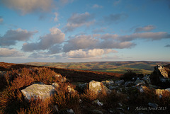 Stiperstones View