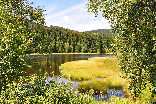 am Schluchsee (© Buelipix)