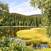 am Schluchsee (© Buelipix)