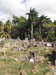 Cementerio Mata EPD