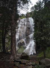 CA-180 Kings Canyon Grizzly  Falls (#0704)