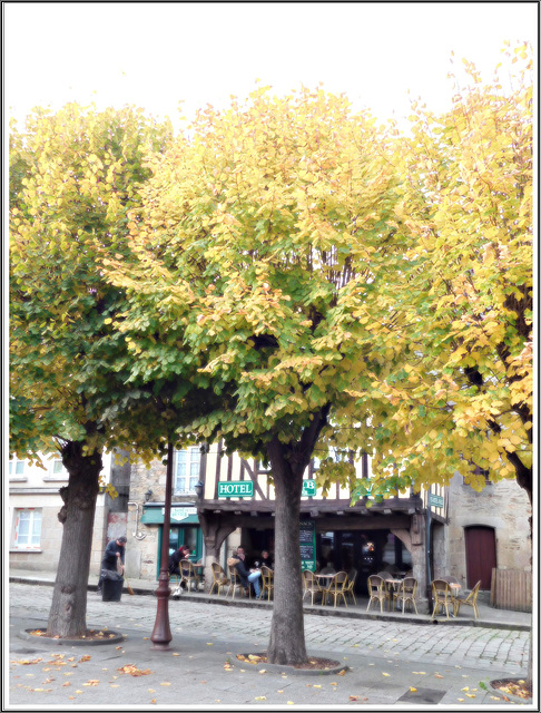 Place saint sauveur à Dinan: Le Pub et les tilleuls