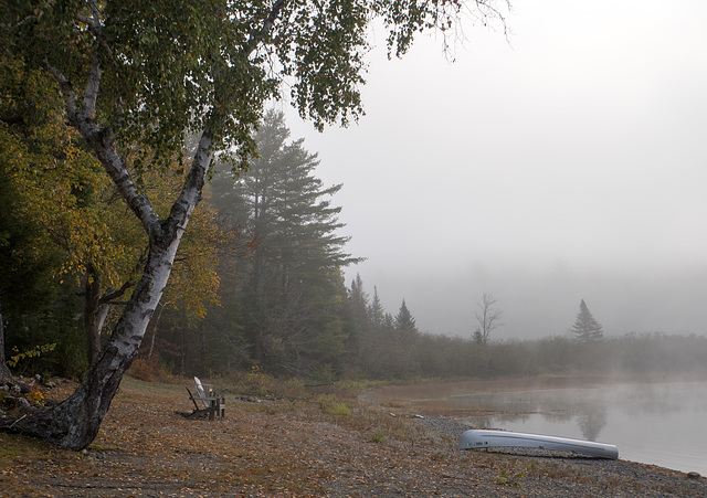 Morning mist