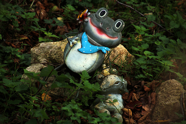 Une conséquence du dérèglement climatique , les grenouilles hibernent plus tard . Photo prise le 1er novembre 2022