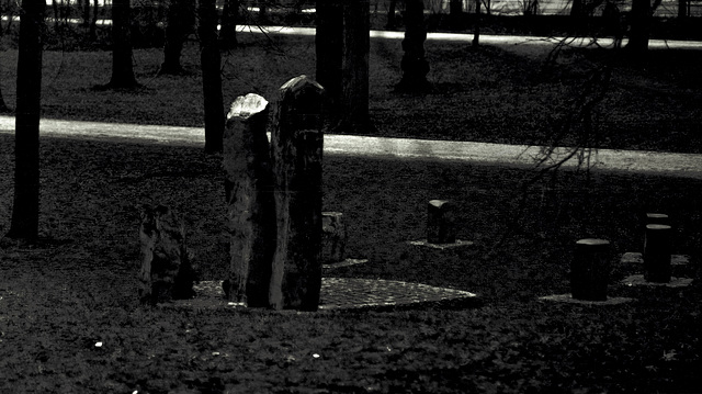 Regensburg, Stadtpark, Film