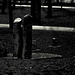 Regensburg, Stadtpark, Film