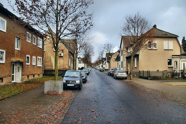 Höhenstraße (Gladbeck) / 24.12.2022