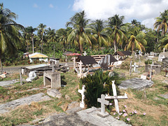 Cementerio Mata EPD