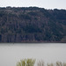 Columbia Gorge - Bridal Veil/Washington (0235)