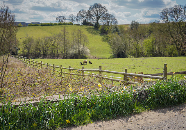 ''A Happy fence Friday'' to all - and 'Good wishes' too... from > Dj.