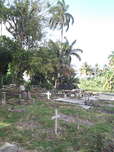 Cementerio Mata EPD