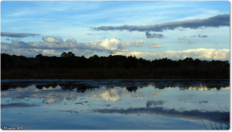 ARES (33 Gironde)