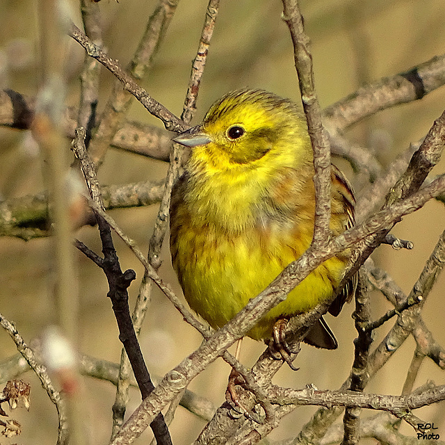 Soleil du jour, 02/03/17