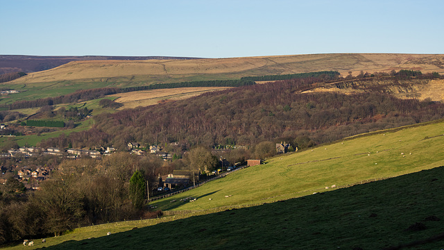 Shire Hill winter trees