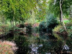 Burgie Arboretum