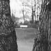 Regensburg, Stadtpark, Film