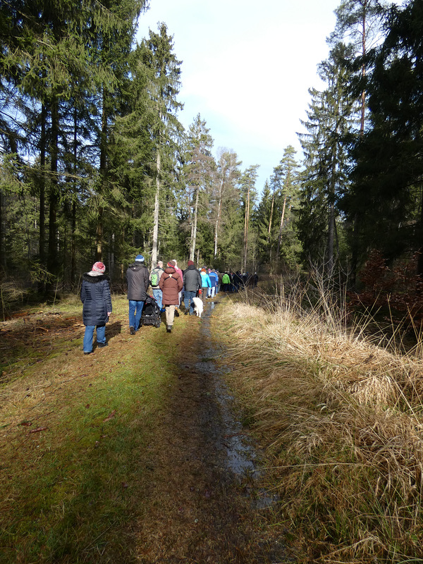 wir besuchen den Zukunftswald