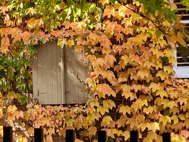 Berrima - Southern Highlands