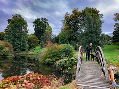 Burgie Arboretum