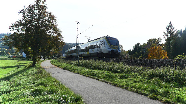 Elektrotriebwagen BR 443