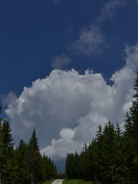 20230606 -08 Lozère tritons (140)