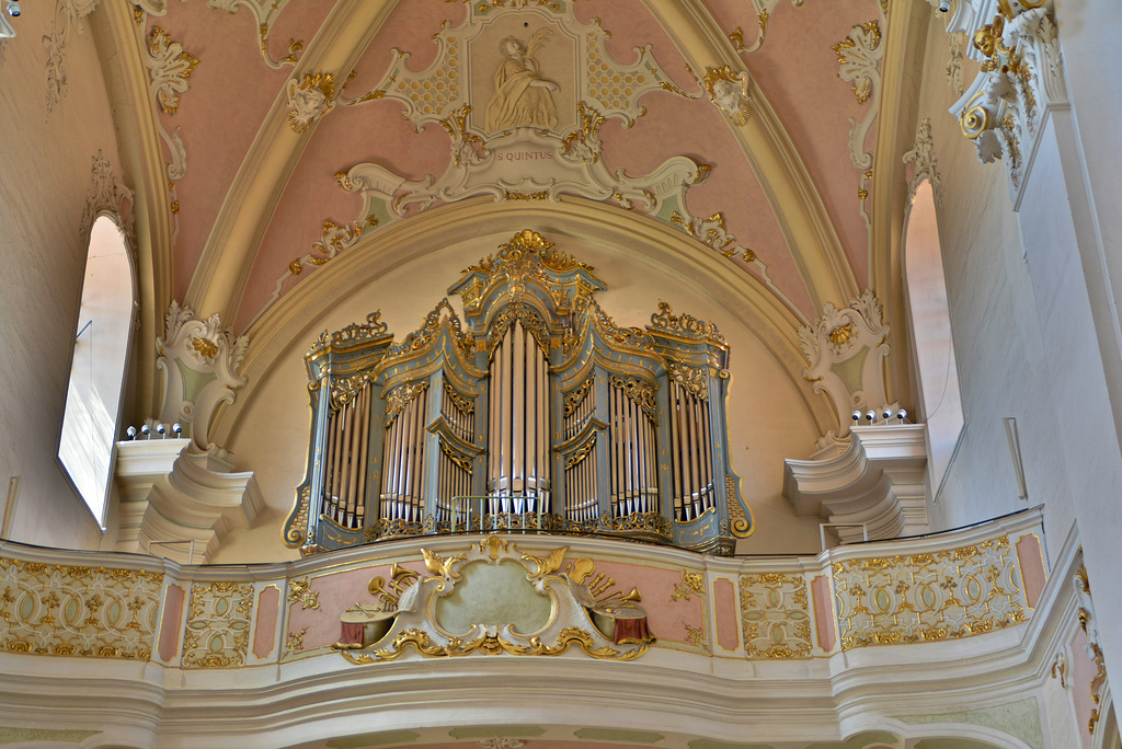 Basilika St.Vitus in Ellwangen