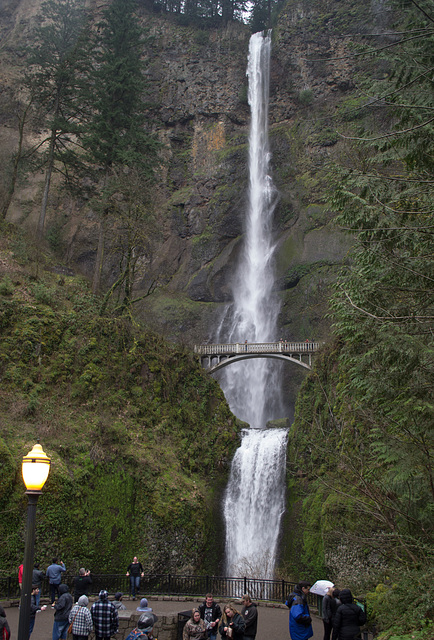 Columbia Gorge -- Multnomah Falls (#0468)