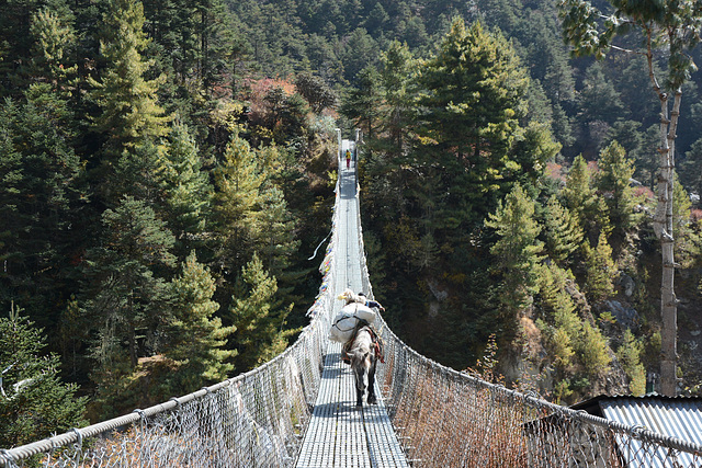 Khumbu, Suspension Bridge on the Way from Tengboche to Namche Bazaar