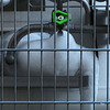 Oxygen Tank Fence