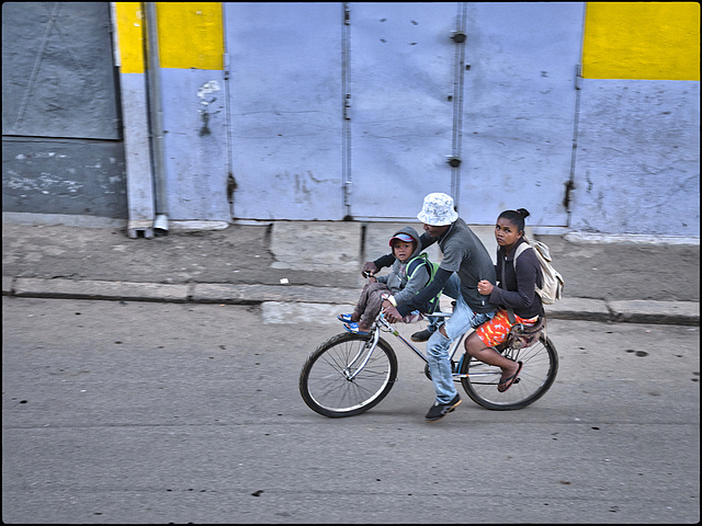 Transport scolaire Transport scolaire